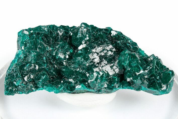Sparkly Emerald-Green Dioptase Crystal Cluster - Congo #347861